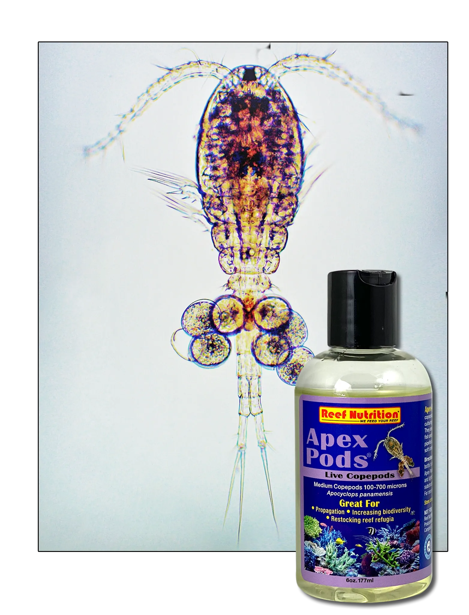 APEX-PODS™ | LIVE PODS 6 oz-Reef Nutrition