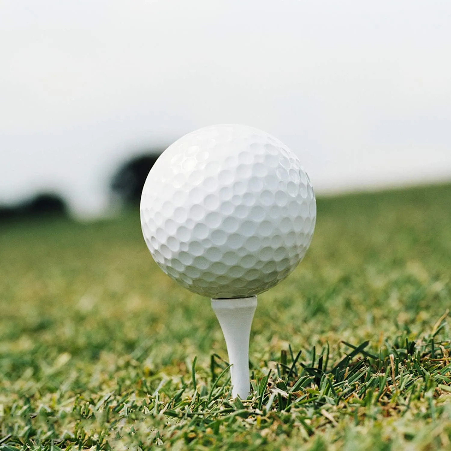 Crestgolf Professional 2 1/8" Deluxe Wood Golf Tees 100pcs